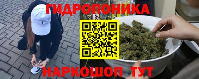 шишки Ярославль