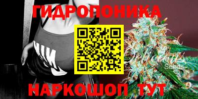 шишки Ярославль