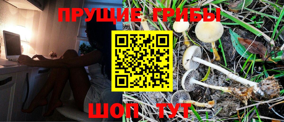 Галлюциногенные грибы Psilocybine cubensis  Вход с VPN  Заринск  Галлюциногенные грибы ЛСД 
